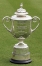 The PGA Championship Trophy